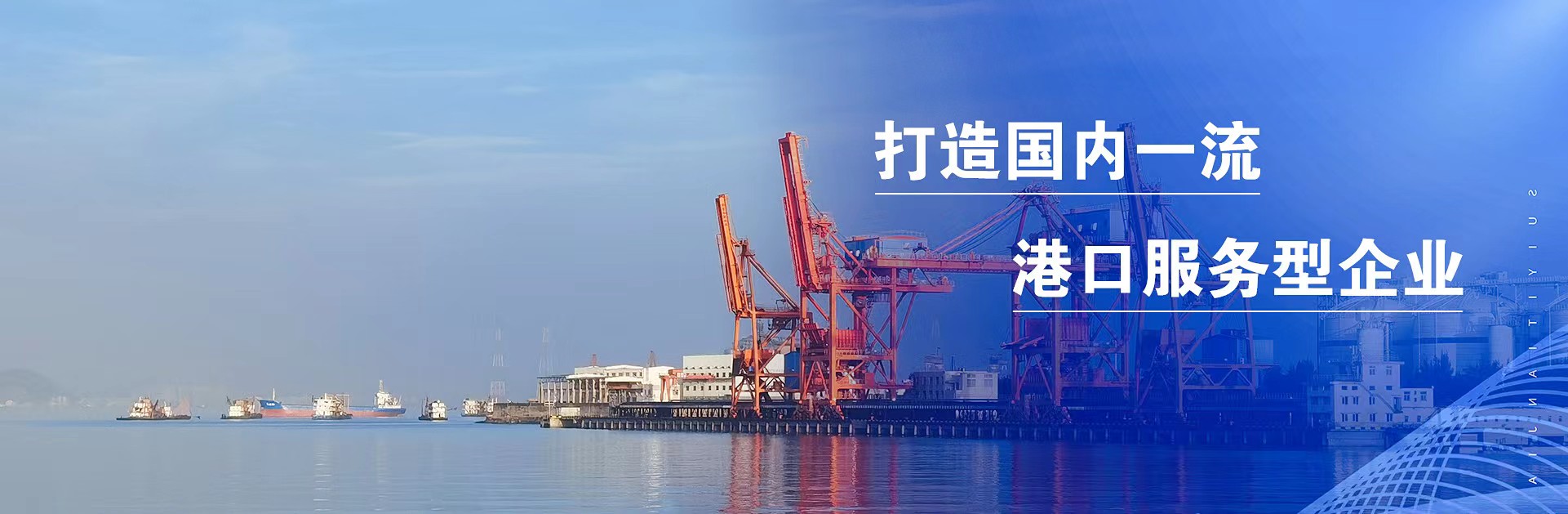 公司新闻 