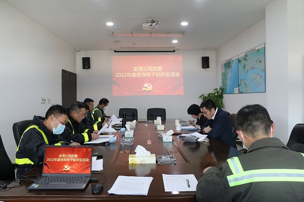 集团公司总司理杨育孜赴龙湾公司开展“大走访大调研大服务大解题”活动并加入龙湾公司党委组织生涯会